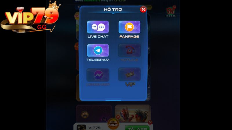 Vip79 luôn đồng hành bên cạnh hội viên hỗ trợ các vấn đề phát sinh qua nhiều kênh liên hệ